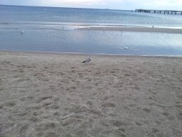 Ein Wochenende in Ahlbeck