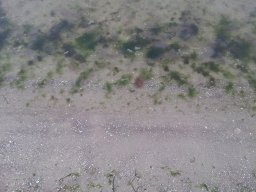 Ein Wochenende in Ahlbeck